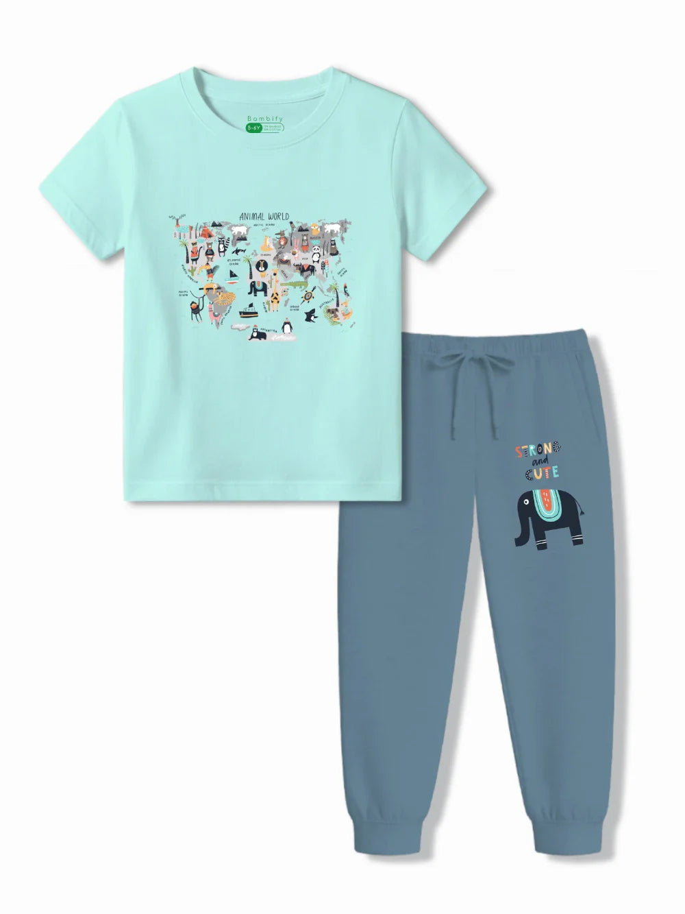 Animal World Light Blue & Dusty Blue Kids T-Shirt & Joggers Set Size 3-4 Years ‚ Bambify India